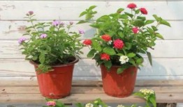 今年爆料新闻最新消息视频,最新热点事件视频深度解析